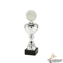 Gave award met een Zilveren accent kleur - MT.138-Zilver