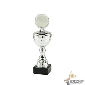 Gave award met een Zilveren accent kleur - MT.138-Zilver