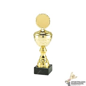 Leuke Sportprijs met een Gouden accent kleur - MT.138-Goud