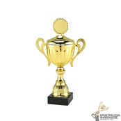Sportprijs met een Gouden accent kleur Sportprijs met een Gouden accent kleur