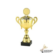 Sportprijs met een Gouden accent kleur - MT.142