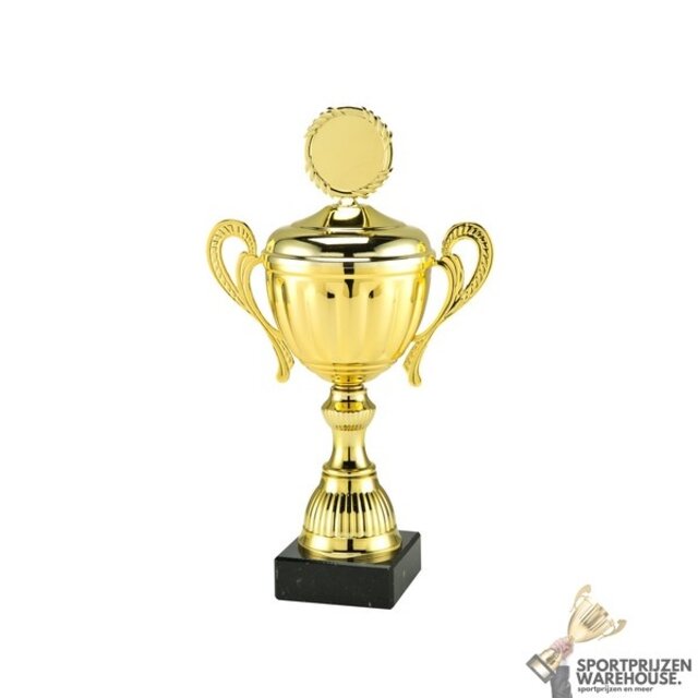 Sportprijs met een Gouden accent kleur Sportprijs met een Gouden accent kleur