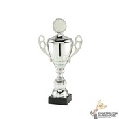 Luxe Sportprijs met een Zilveren accent kleur