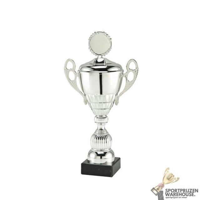 Luxe Sportprijs met een Zilveren accent kleur