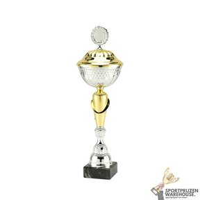 Unieke bokaal met een Zilveren accent kleur - MT.131-Zilver