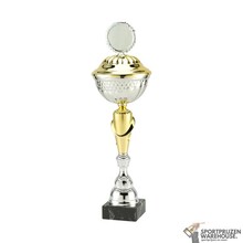 Luxe Sportprijs met een Zilveren accent kleur - MT.132-Zilver