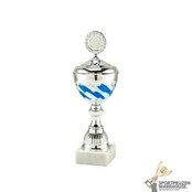 Luxe Sportprijs met een Zilveren accent kleur