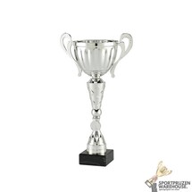 Sportprijs voor kampioenen met een Zilveren accent kleur - MT.146-Zilver