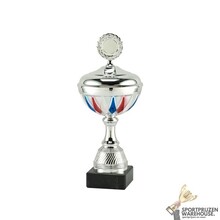 Award met een Zilveren accent kleur - MT.147-Zilver