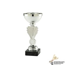 Voordelige award  - SET.349-Zilver