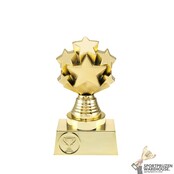 Unieke Sport bekers trofee