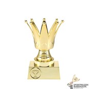 Unieke sport beker award