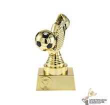 Voordelige Voetbal award