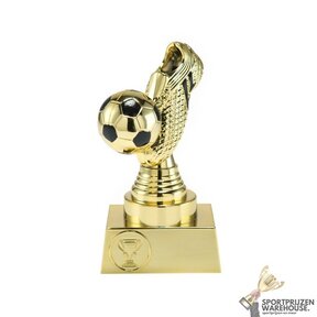 Voordelige Voetbal award - ST.116