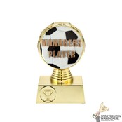 Voetbal Trofee