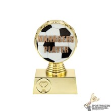 Voetbal Trofee - ST.073