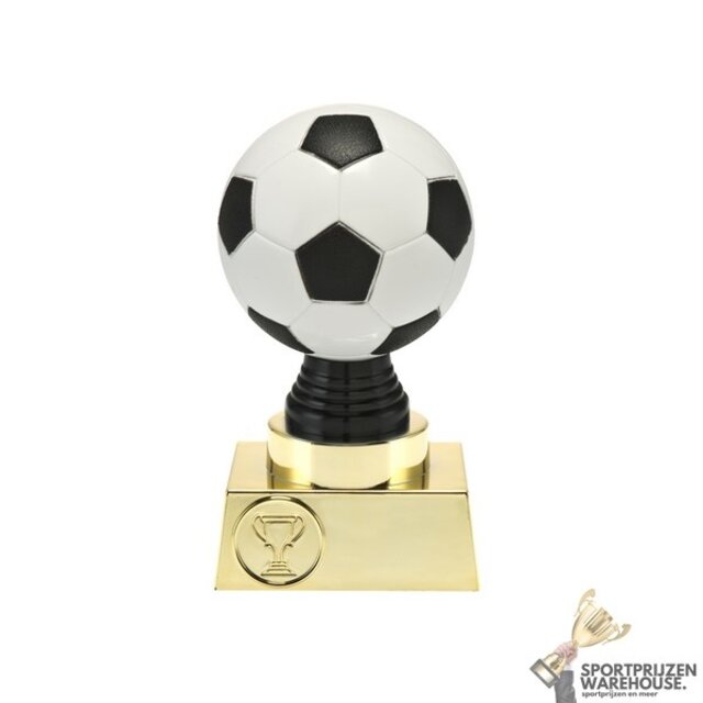 Leuke Voetbal trofee Leuke Voetbal trofee