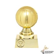 Volleybal trofee met opties