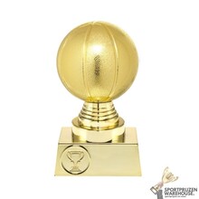 Unieke Basketbal trofee - ST.030