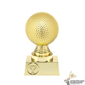 Voordelige Golf award
