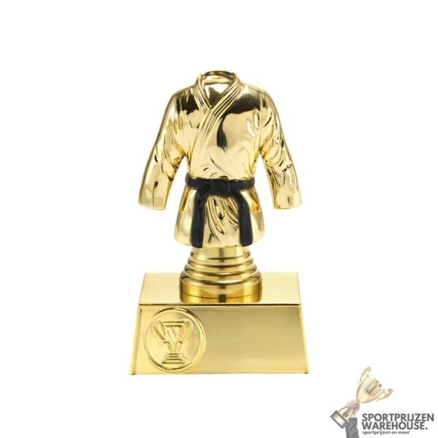 Judo trofee