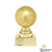 Leuke Voetbal trofee - ST.023