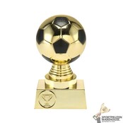 Voordelige Voetbal prijs Voordelige Voetbal prijs