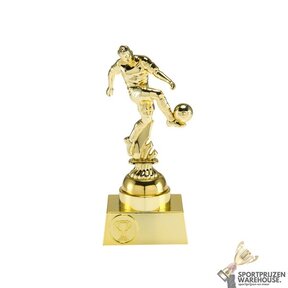 Voordelige Voetbal prijs - ST.011