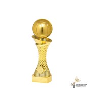 Leuke Volleybal trofee
