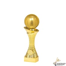 Leuke Volleybal trofee - SL1919