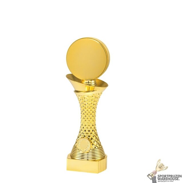 Sportprijs Ijshockey