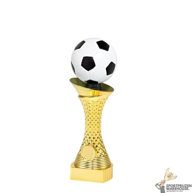 Voetbal award