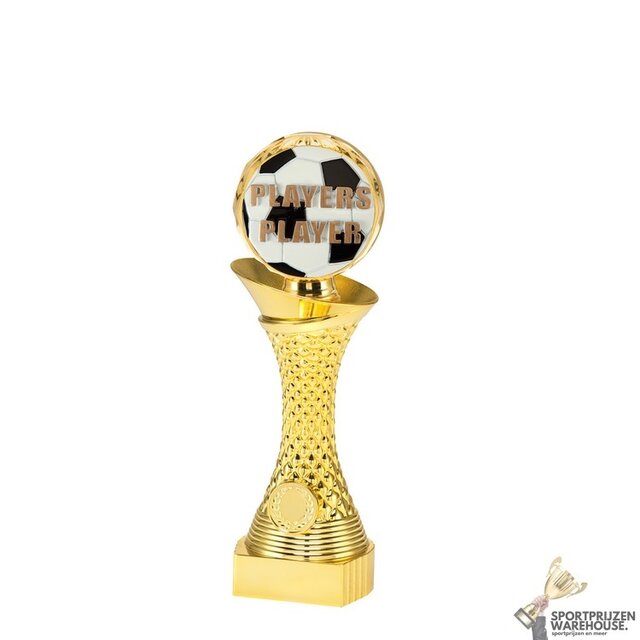 Voetbal Trofee Voetbal Trofee