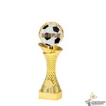 Voordelige Voetbal award - ST.069