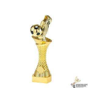 Voordelige Voetbal sportprijs - ST.076
