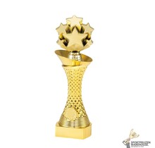 Sport sportprijs