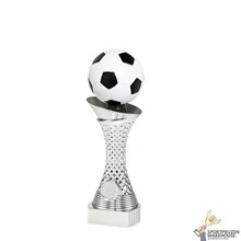 Stoere Voetbal trofee - SL1928
