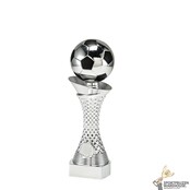 Trofee Voetbal