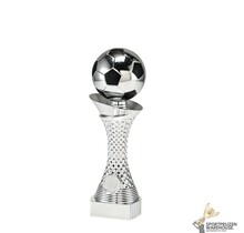 Trofee Voetbal