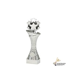 Voordelige Sport award - ST.220