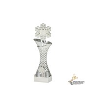 Unieke Sport trofee