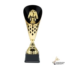 Mooie sport trofee voor de Judo - ST.092.01