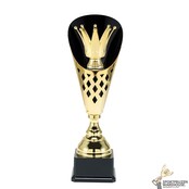 Mooie sport trofee voor de Sport