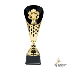 Mooie trofee voor de Sport - ST.137.01