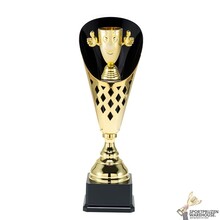 Mooie sport trofee voor de Sport - ST.144.01
