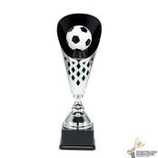 Mooie trofee voor de Voetbal