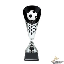 Mooie trofee voor de Voetbal