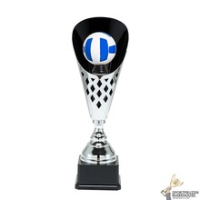 Mooie sport trofee voor de Volleybal