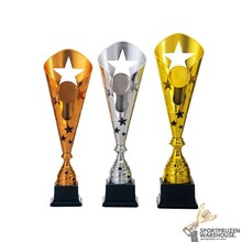 Leuke award in het Goud, zilver of brons - AK5025