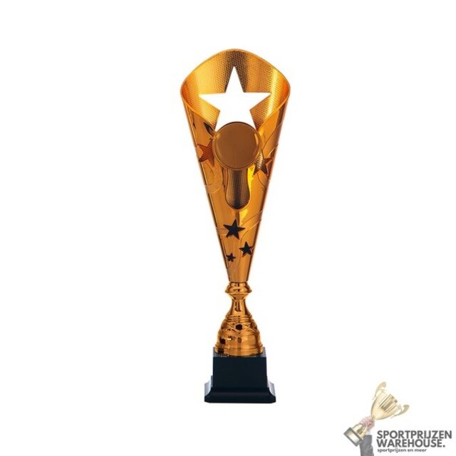 Leuke award in het Goud, zilver of brons